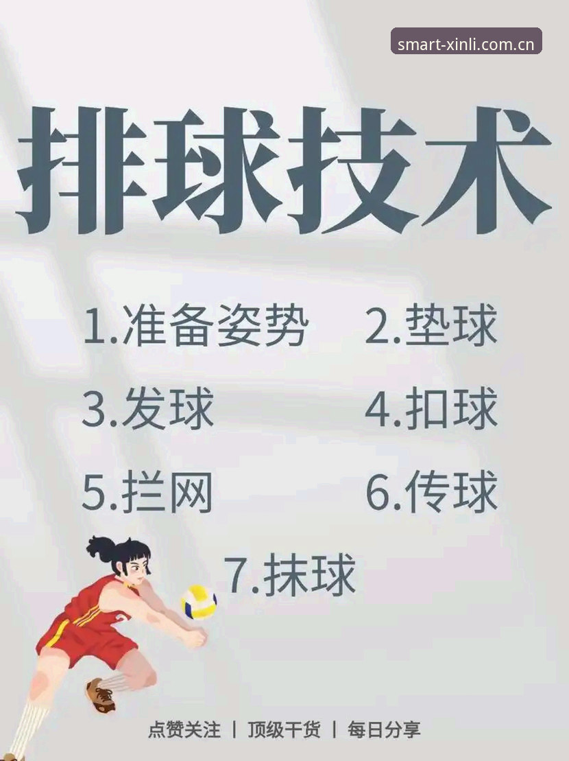 新利体育官网体育资讯完整指南——从安装到数据解读的实用上手教程