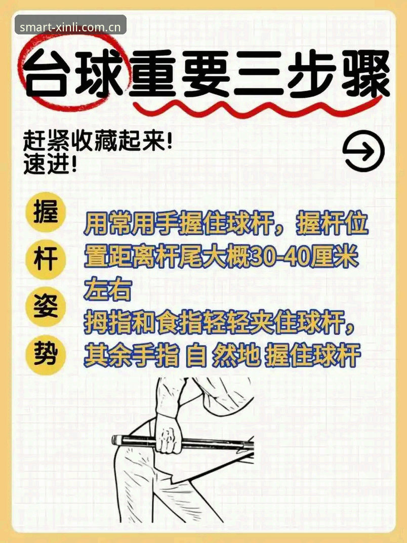 新利体育官网体育资讯完整指南——从安装到数据解读的实用上手教程
